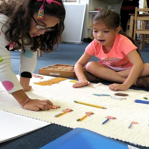 montessori school NJ